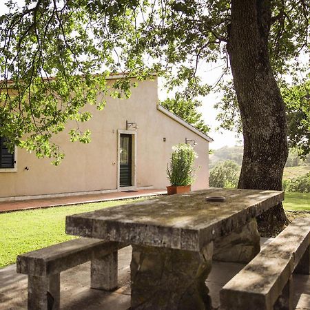 Гостьовий будинок Country House Poggio Aione Catabbio Екстер'єр фото
