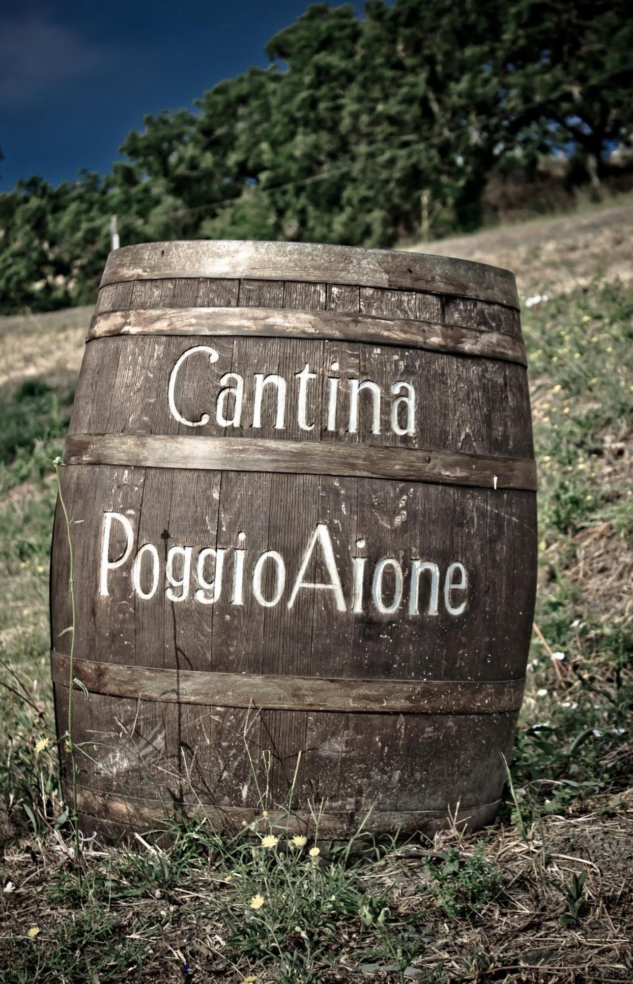 Гостьовий будинок Country House Poggio Aione Catabbio Екстер'єр фото